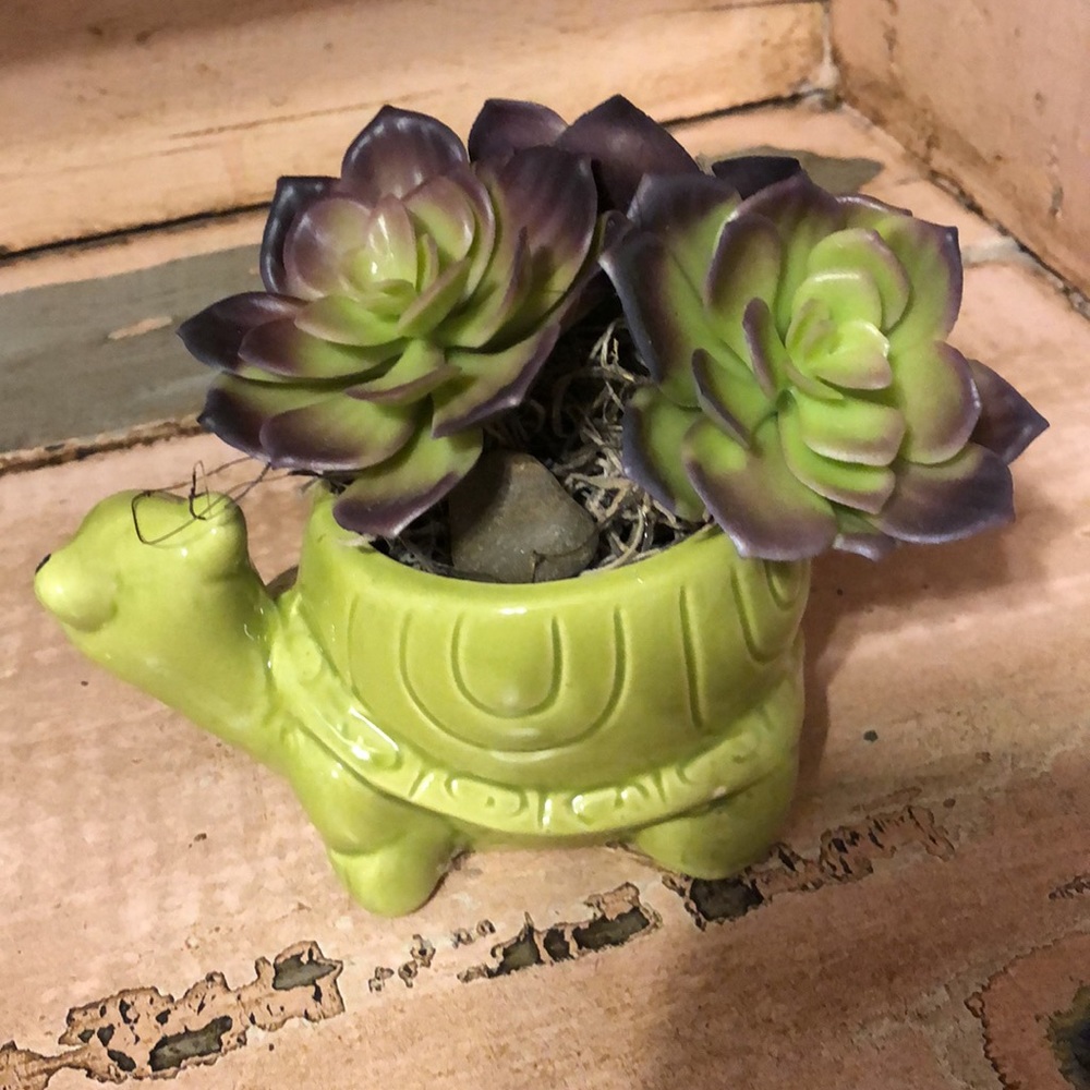 Turtle pot - Picture 2 of 5